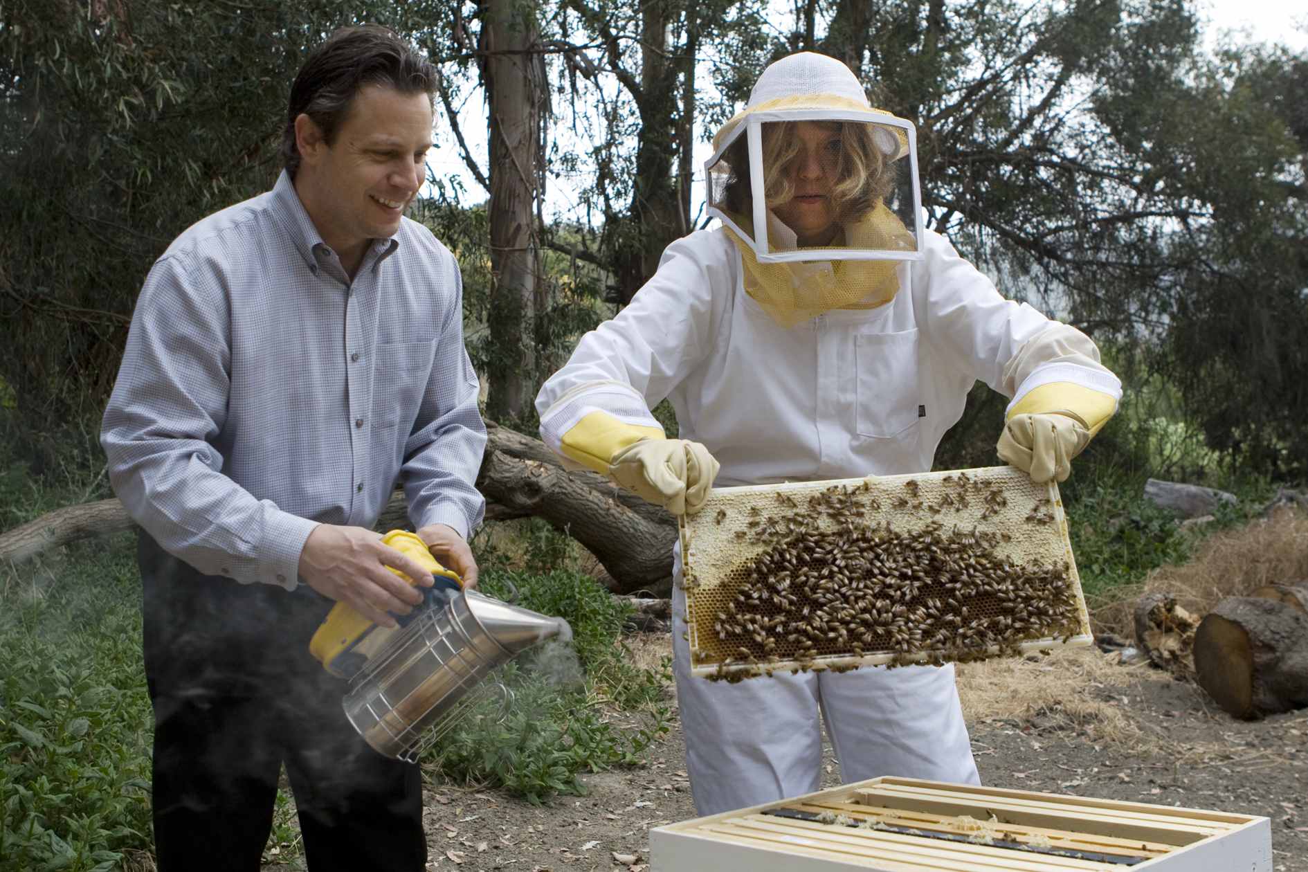 Home  Fox Valley Beekeeper