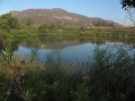 4.1 author hike barbara’s lake dilley preserve Ch.10.01a