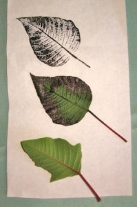 Inked leaf transfers.