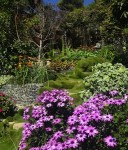 4 benefit loca terraced garden