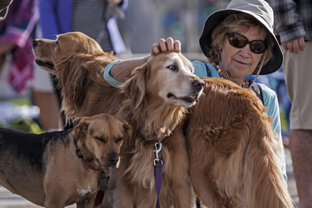 Close to 150 spectators of the two and four-legged variety, lined the boardwalk and the beach to watch competitors push themselves to the limit.