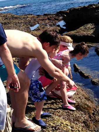 Beach-goers explore local tide pools.