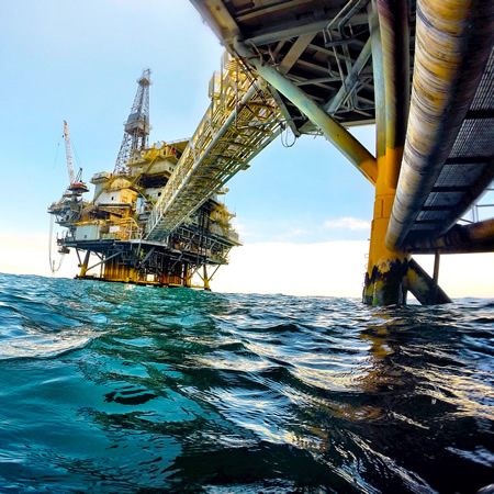 Offshore oil rigs have become artificial reefs for marine life.