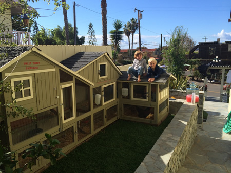 Logan and Oliver Barreth atop the coop their mother Lisa Barreth and her brother built on the side of the house off Catalina Street.Photo by Lisa Barreth.