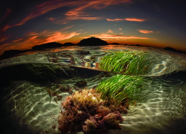 Last year’s second place winner in the professional category, “Tide Pool” by Sean Brown.