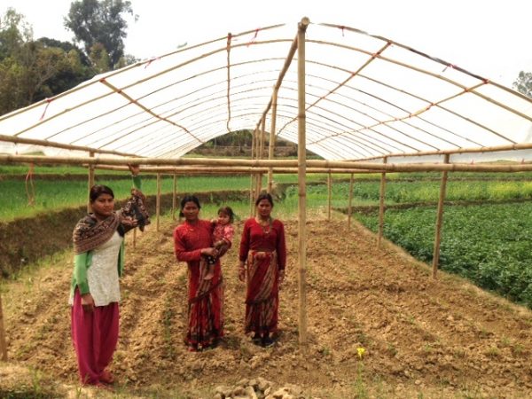 R Star Foundation is helping fund building greenhouses to provide villagers with fresh produce and a source of income. 