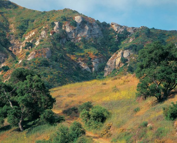 Ron Chilcote’s image of Laurel Canyon, part of the Laguna Coast Wilderness Park, was included in the Historic American Landscapes Survey. 