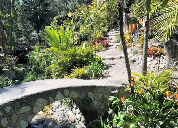The largest garden is Joanie Rowe’s half-acre of tropical landscaping on Bluebird Canyon Drive.