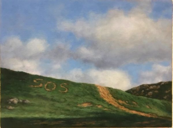 : Darlene Campbell’s message about an endangered planet is literally spelled out in a verdant meadow with the letters “SOS” cut into it. 
