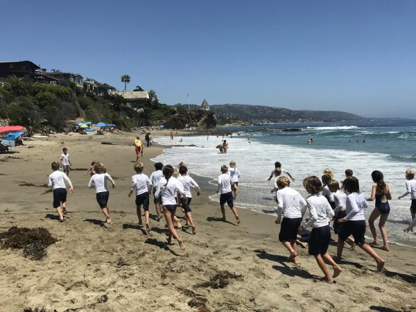 Young Junior Guards embark on a run-swim-run drill in Shaw’s Cove.