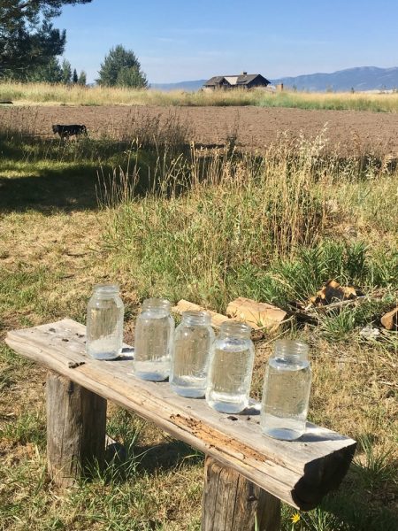 Mason jars filled with water to capture eclipse energy in Wyoming. 